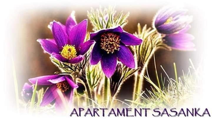 Apartament Sasanka Kowary Buitenkant foto